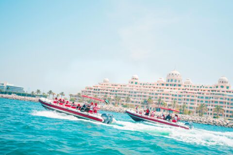 zola-safari-gallery00017